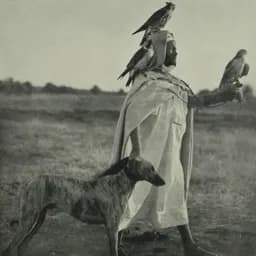 Baghunter